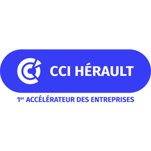 Logo CCI chambre de commerce et d'industrie